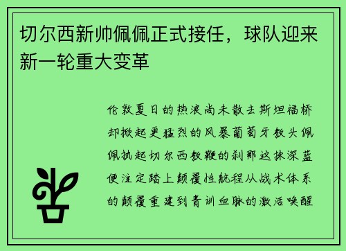 切尔西新帅佩佩正式接任，球队迎来新一轮重大变革